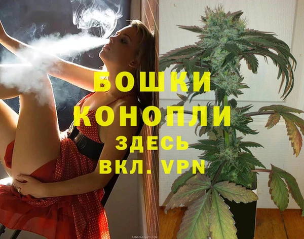 прущие грибы Навашино