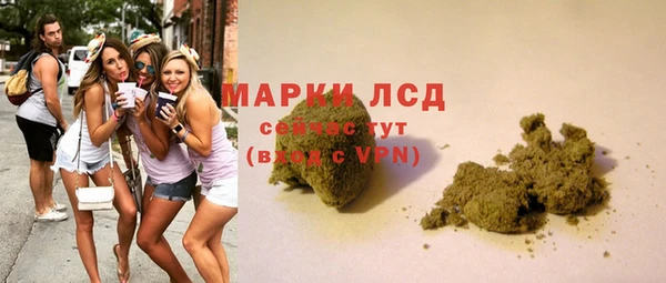 спиды Нефтекумск