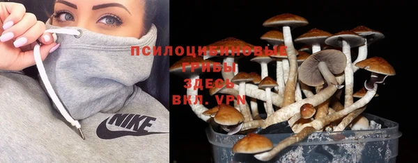 прущие грибы Навашино