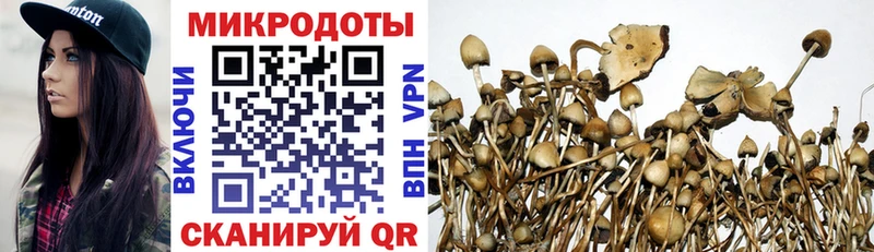 Псилоцибиновые грибы прущие грибы  купить наркотики цена  Волгоград 