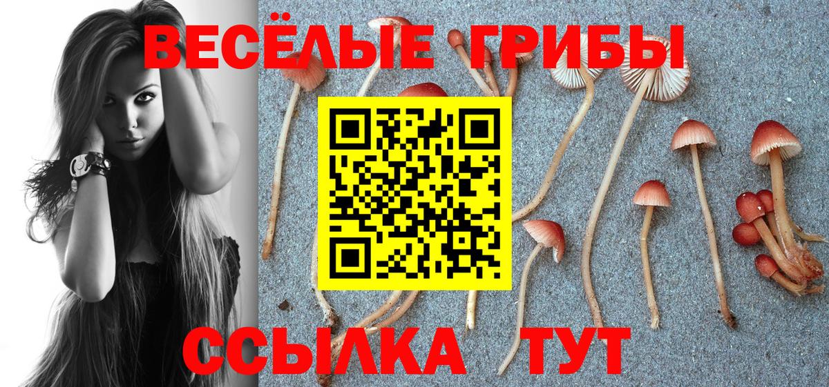 Псилоцибиновые грибы мицелий  Волгоград 