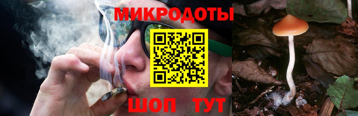Волгоград  Галлюциногенные грибы прущие грибы  Галлюциногенные грибы MAGIC MUSHROOMS  Вход с VPN 